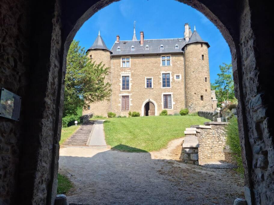 Chateau D'Uriage - Duplex Avec Terrasse Privative Saint-Martin-dʼUriage Esterno foto